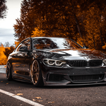 3d cars studio