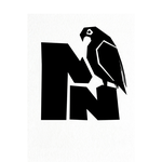 Mr. Naseriyan 