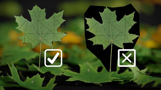 alpha leaves overlap Block image