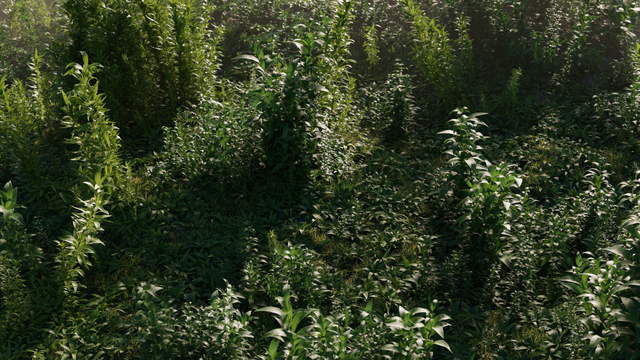 Article header image