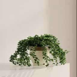 Cascading Green Ivy Pot