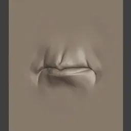 Male Lips Old Realistic