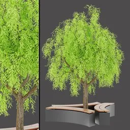 Tree Accent Bench
