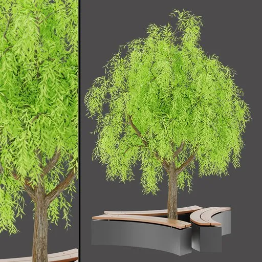 Tree Accent Bench