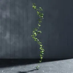 "Artificial Begonia Garland 3D Model for Blender 3D - Indoor Nature Category with Geomtery Nodes and Bagapie Addon Integration. Editable Stem for Scale and Realistic Look."