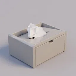 napkin_white box