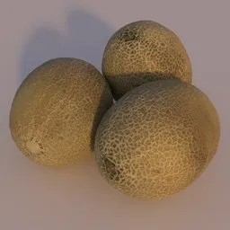 Cantaloupe