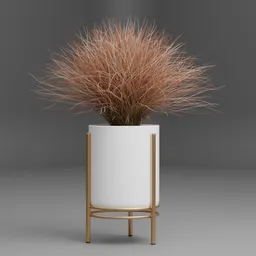 Ornamental Grass in Modern Planter