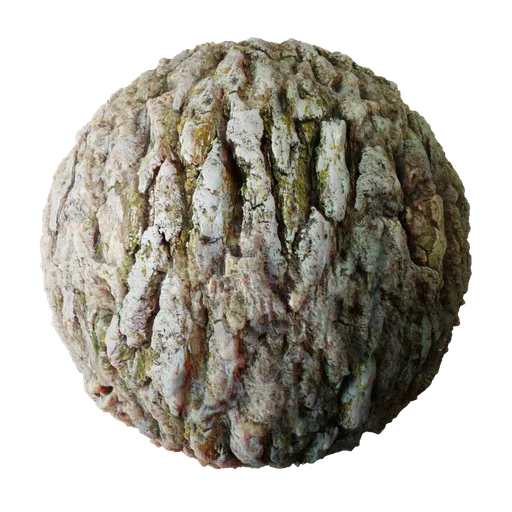 Tree Bark