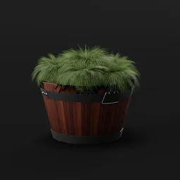 Fountain Grass Planter