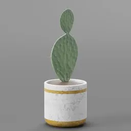 Cactus marble pot with brass