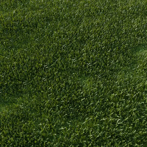 Garden Lawn Grass Cut