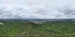 Highsky cloud forest