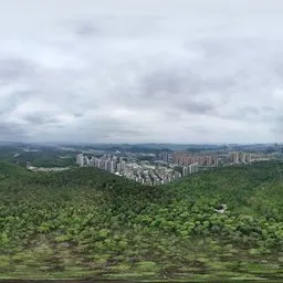 Highsky cloud forest