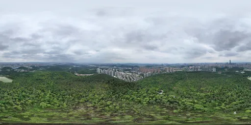 Highsky cloud forest