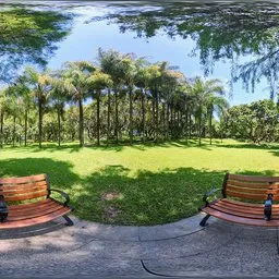 Chairs by the lawn