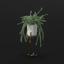 Trailing Green Planter