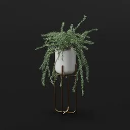 Trailing Green Planter