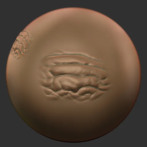 ER_Human Skin(B) 08