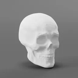 "3D model of a male head for sculpting in Blender 3D. This detailed skull base is perfect for starting your own project. Great for 3D printing or for hire by a professional 3D artist."