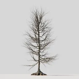 Detailed leafless 3D tree model showcasing intricate branches and exposed roots, compatible with Blender for rendering and animation.