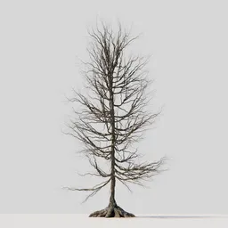 Dry Tree 07