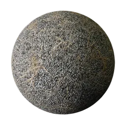 Gravel with dry grass