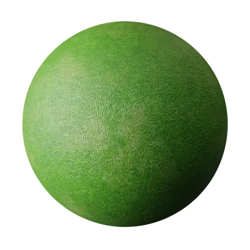 Fresh Green Grass