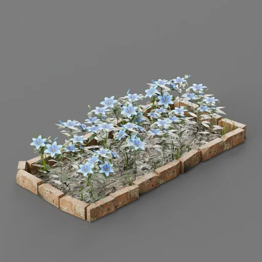 Blue lily garden bed