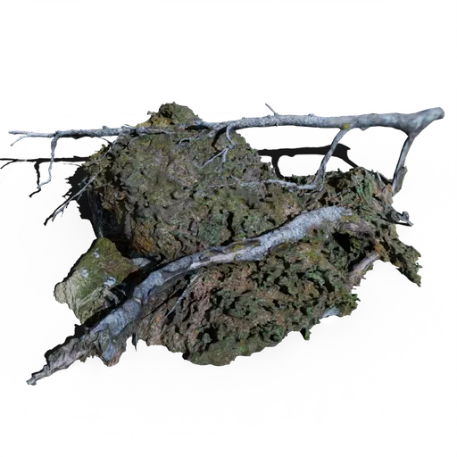 Forest Patch with Rock, Moss and Tree