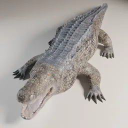 Crocodile