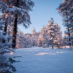 Lightweight Forest Winter