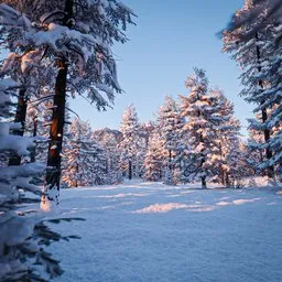 Lightweight Forest Winter