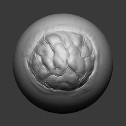 Detailed 3D sculpting brush effect for open wound brain textures in character modeling.