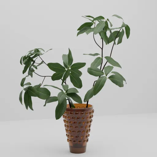 Decorative Green Foliage