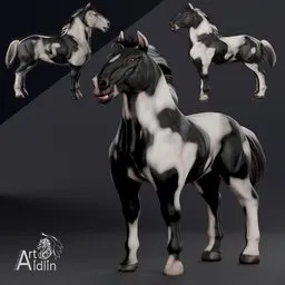 Draft horse. Tinker, gypsy vanner breed