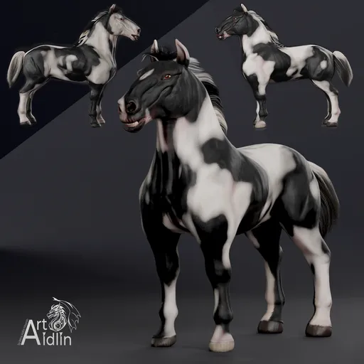 Draft horse. Tinker, gypsy vanner breed