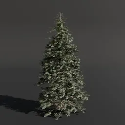 Realistic 3D model of a Silver Fir tree, low poly and PBR textured, suitable for garden and forest scenes in Blender.