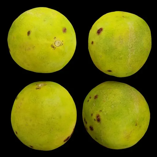 Sweet Lime with Blemishes