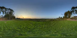 Green grass at sunset-30k