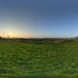 Green grass at sunset-30k