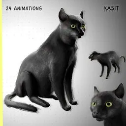 Black Cat Animated