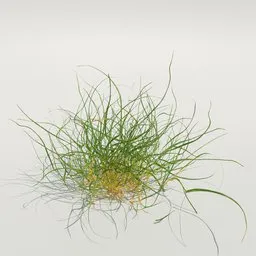 Realistic 3D grass model with detailed strands for Blender rendering, suitable for natural scenes and digital landscaping.