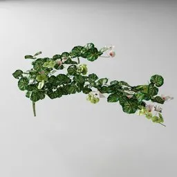 "Artificial tendril Pink geranium 3D model for Blender 3D - nature-indoor category. Beautifully detailed and inspired by real products, easily modify the shape in edit mode using the Bagapia addon. Created with Blender 3D software and featuring vines, orchid stems, clover, and ivy for a natural feel."