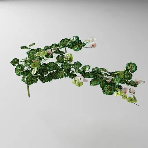 Detailed 3D pink geranium model with intricate leaves, compatible with Blender using Bagapia addon geometry nodes.