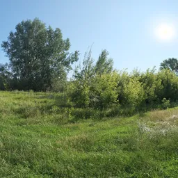Lush meadow with trees and clear blue sky for realistic HDR lighting in 3D scenes.