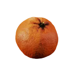 Citrus