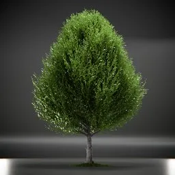 Tree Columnar European Animated