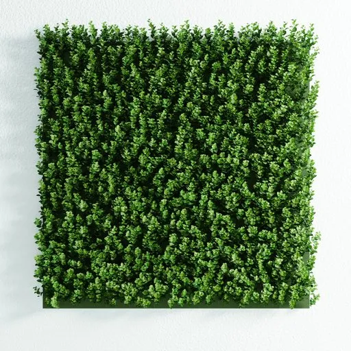 Detailed 3D model of a lush green Pachysandra fitowall panel, editable and optimized for Blender with geometry nodes.