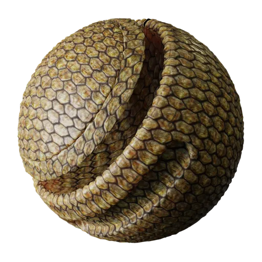 Lizard Scales